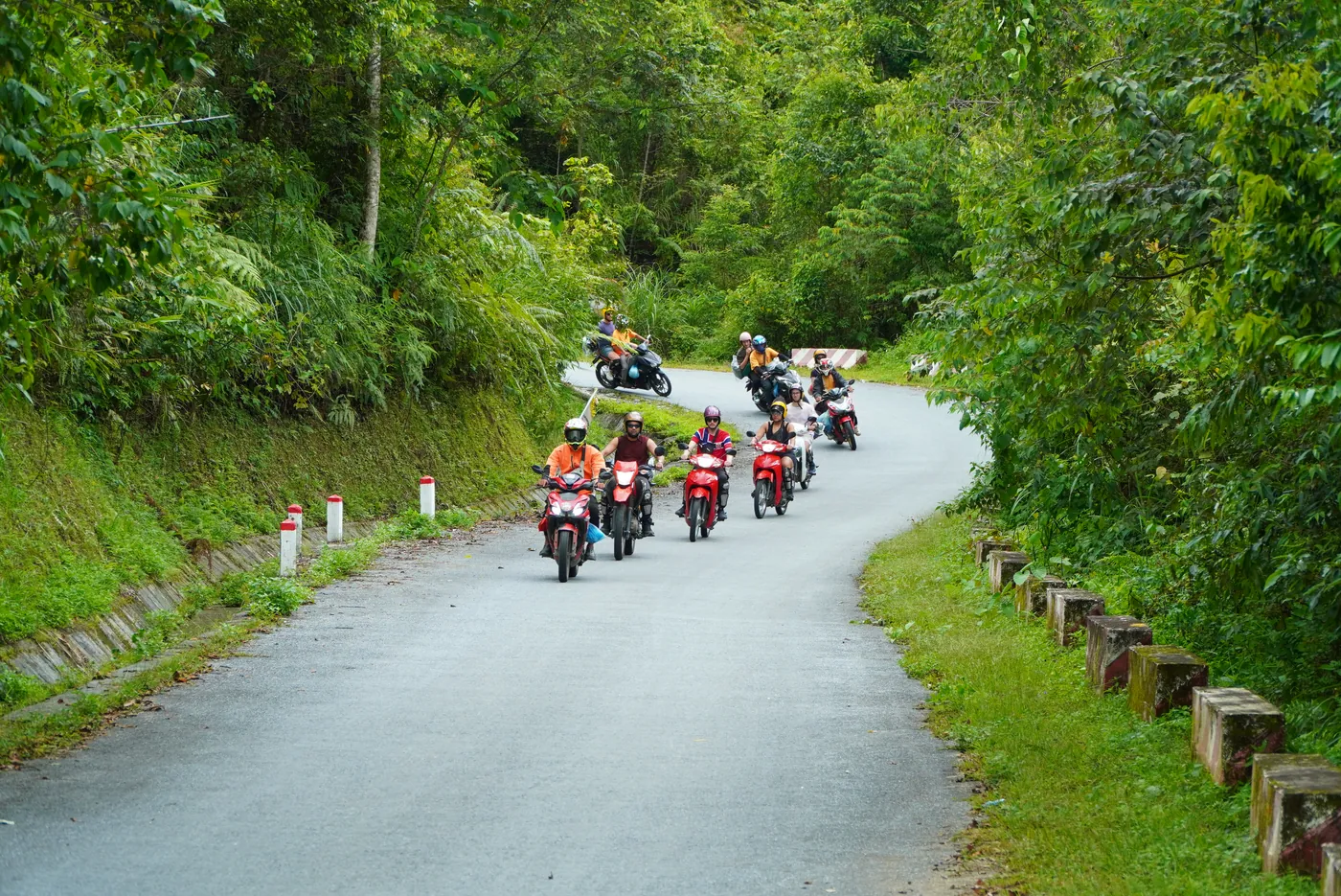 A group of motorbikes riding towards the camera along a narrow sealed road on the Ha Giang Loop, dense green vegetation on both banks and white kilometre posts along the left edge