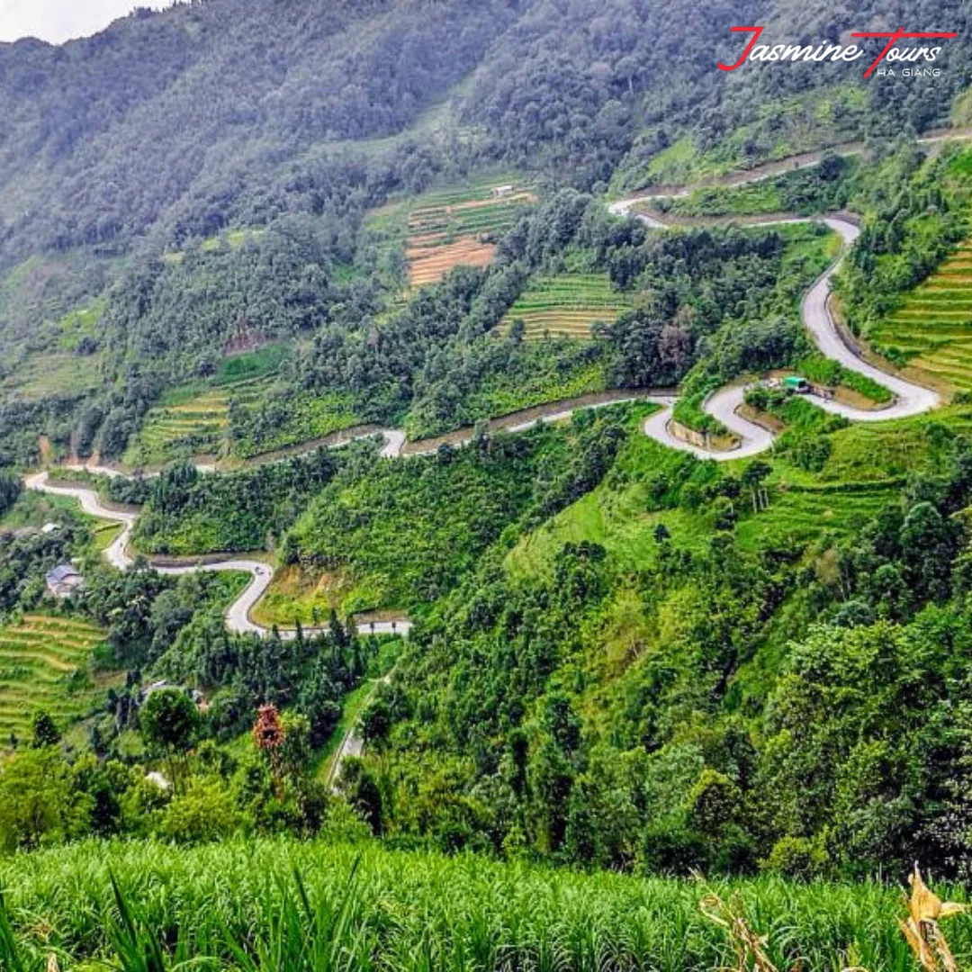 A sealed road switchbacking up a terraced hillside on the way into the Ha Giang mountains, with cultivated terraces and forest on either side