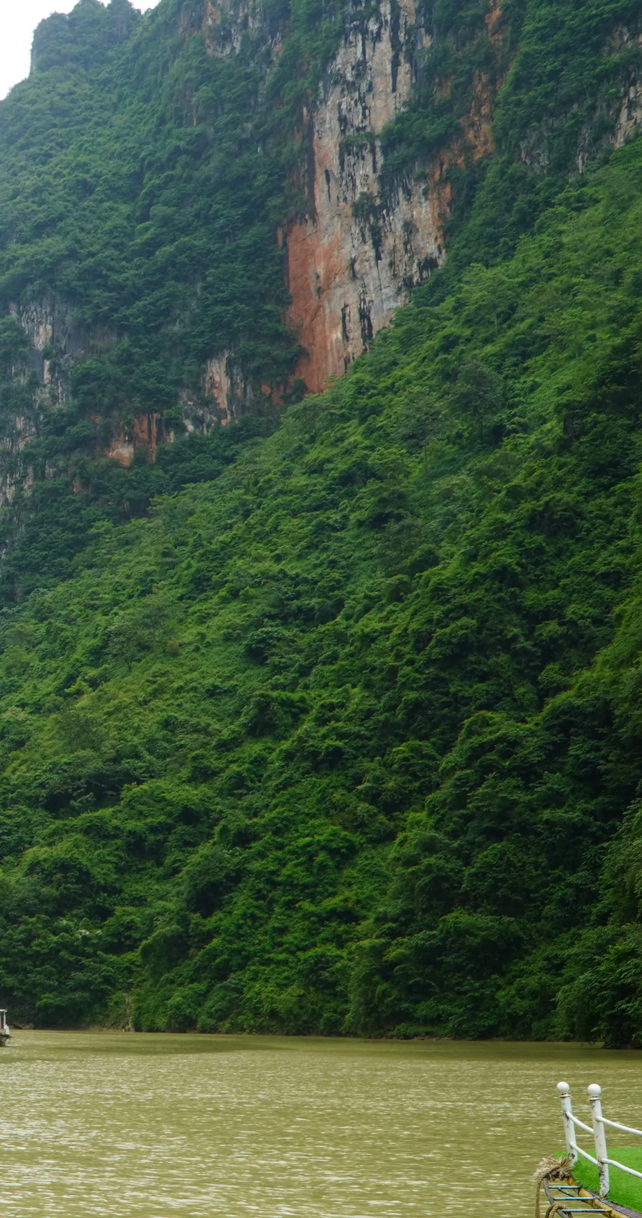 A near-vertical limestone cliff streaked with orange rock rising out of dense green forest, with khaki-green water below, a small covered tour boat far off to the left and the bow of a moored boat with white railings at the lower right