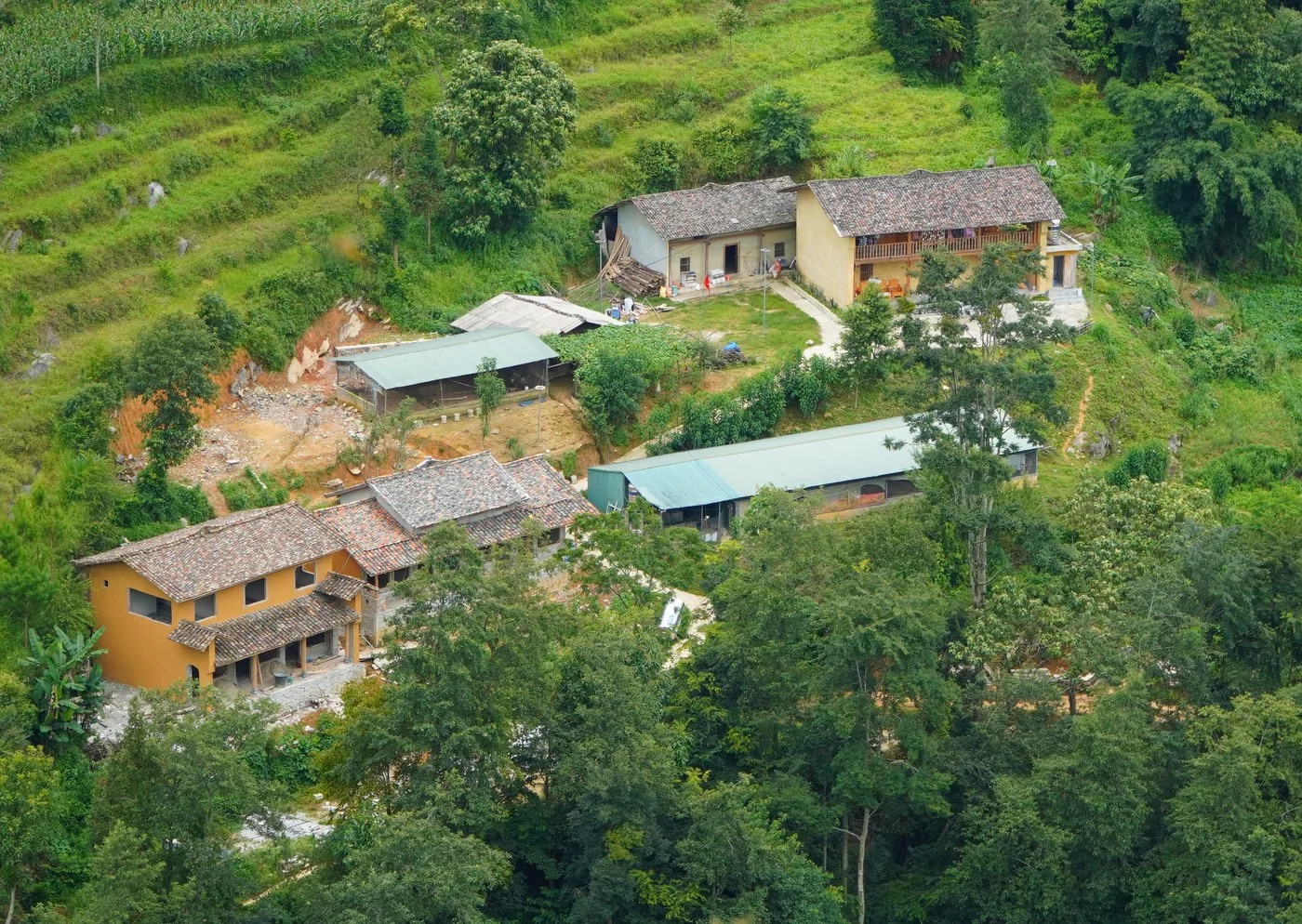 Seen from above, a cluster of houses on a green hillside: two-storey buildings with plain ochre earth-coloured walls and roofs laid with small overlapping curved tiles, a timber balcony along the upper floor of one, corrugated sheds and a maize plot on the slope behind, and forest closing in below