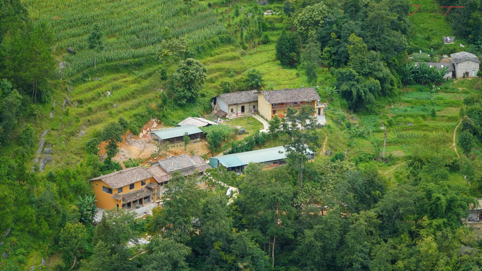 A small village of tiled-roof houses surrounded by terraced maize fields on a green hillside in Ha Giang.